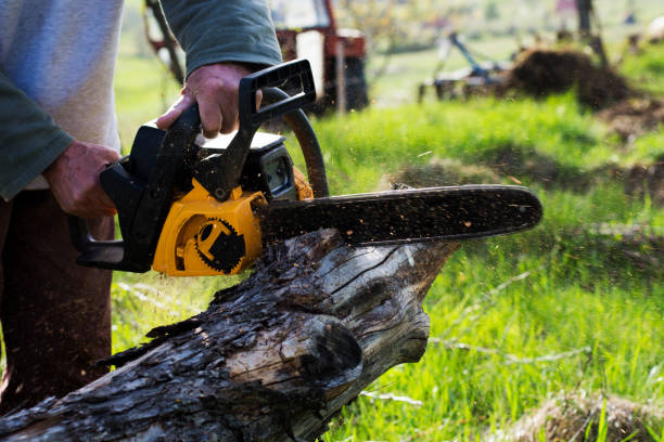 How Our Tree Care Process Works  in  Leisure Village West, NJ